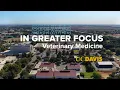 Advancing Cancer Research for Animals and Humans UC Davis School of Veterinary Medicine