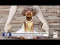 Upcoming book will feature dogs with jobs