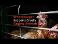 What s Whataburger hiding from its customers