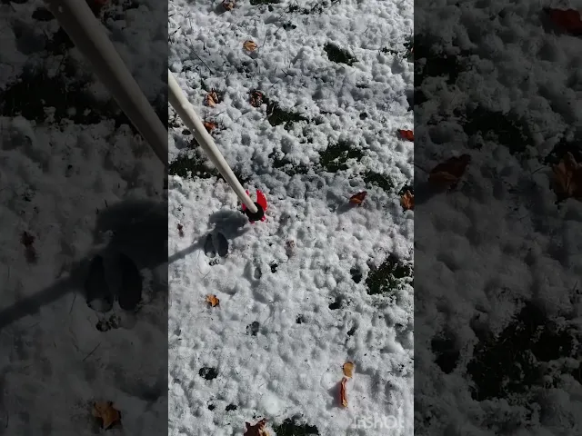 Reindeer Caribou hoof print to make tracks in Snow for Christmas video thumbnail