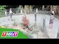 Download Lagu Một người phụ nữ ở Tiền Giang bị hàng xóm đ-á-nh ch-ết | THDT