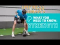 Download Lagu PureGym KRACHTlessen | Wat u moet weten