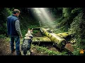 Download Lagu Fighter Pilot Vanished in 1944 — 80 Years Later, His Rusted Plane Was Found By A Veteran and His Dog