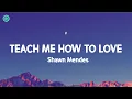 Download Lagu Shawn Mendes - Teach Me How To Love (LYRICS)