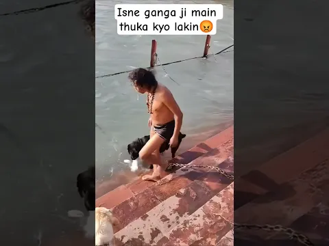 kya ganga ji main kutto ko nehelana sahi hain ? #haridwar #viralvideo # reelsindia