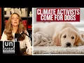 Download Lagu Volgens nieuwsbericht is uw hond slecht voor het klimaat
