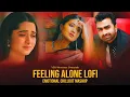 Download Lagu Feeling Alone - Bengali Lofi Mashup | Imran | Puja | Arfin Rumey | Nancy | VDJ Sowrav | Chillout Mix