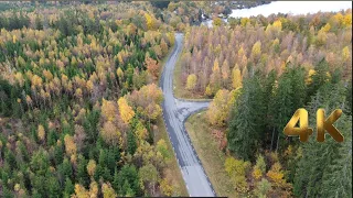 فيروز فيروزيات مع أجمل الأجواء الخريفية خريف السويد Fairuz 