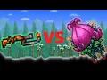 Flamethrower Vs Plantera Expert Mode