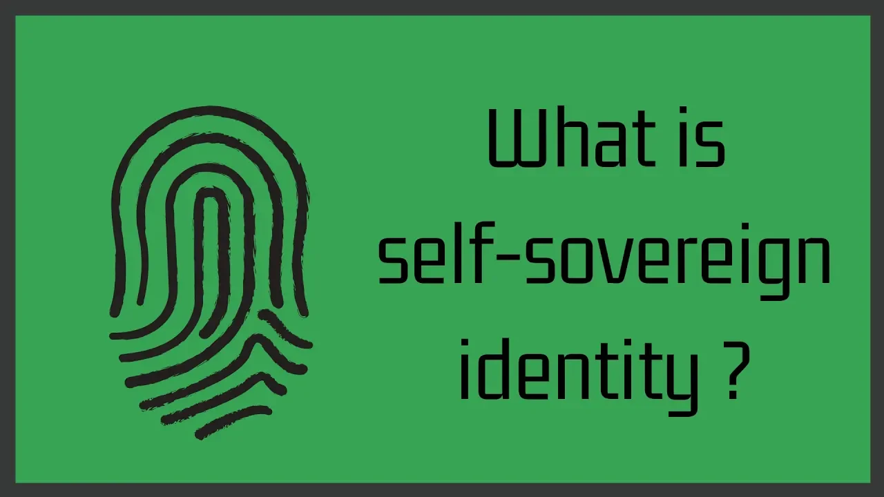 Understanding Self-Sovereign Identity: A Technical Introduction