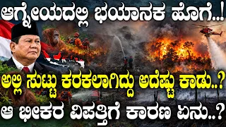 ಆಗ್ನೇಯದಲ್ಲಿ ಭಯಾನಕ ಹೊಗೆ..! ಅಲ್ಲಿ ಸುಟ್ಟು ಕರಕಲಾಗಿದ್ದು ಅದೆಷ್ಟು ಕಾಡು..? | Indonesia Wild Fire |