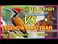 Download Lagu Masteran Murai Batu Pelatuk Bawang Gacor VS Cililin Jernih Ngerol Ngebren Rapat Tajam Jeda Suara Air