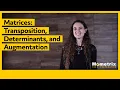 Matrices Transposition Determinants and Augmentation