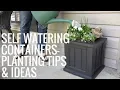 Self Watering Containers Planting Tip Ideas