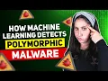 How Machine Learning Detects Polymorphic Malware