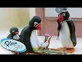 Download Lagu Grandad needs a Doctor | Pingu Official | Cartoons for Kids