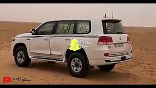 شيلات قويت بعدى وش االى جاك 