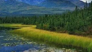 تلاوة خيالية للشيخ عبد الباسط عبد الصمد سورة الأنبياء 