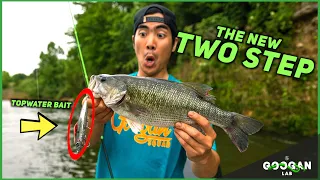 The BEST TOPWATER Fishing LURE Fishing Tips