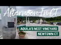 Aquila s Nest Vineyard Newtown CT Winery