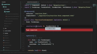 Angular 2 Forms and Validation Lesson10 Form Builder