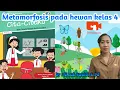 Download Lagu Materi pembelajaran metamorfosis pada hewan kelas 4 dengan animasi Doratoon