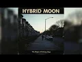 Lagu Hybrid Moon – The Shape of Ordinary Days [Full Album] | 70s Prog Rock