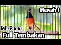Download Lagu MURAI BATU GACOR FULL ISIAN TEMBAKAN MEWAH SANGAT AMPUH MEMANCING EMOSI MURAI BATU BONGKAR ISIAN