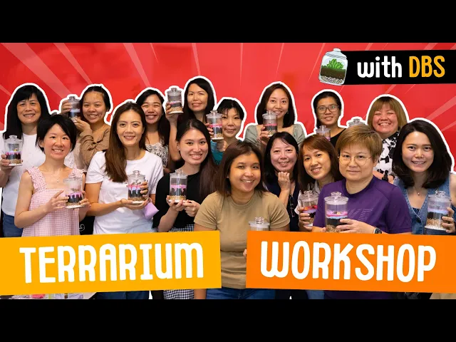 DBS staff hold up the terrariums they made