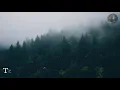 MITHOTYN - King of the Distant Forest (Full Album)