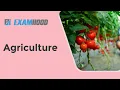 Meaning of Agriculture