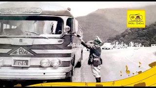 A história da Expresso Brasileiro