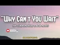 The Chainsmokers - Why Can't You Wait | Lyrics (ft. Bob Moses)