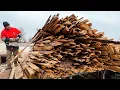 Download Lagu The Art of Destruction: A Masterclass in Wood Processing