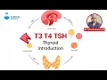 Thyroid Introduction T3 T4 TSH