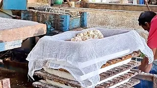 Fábrica de Farinha de mandioca!
