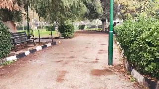 رجعت الشتوية فيروز فيروز الصباح حالات واتس مقطع طبيعة فيروز حالات واتس 