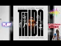 Shaun 101, Mluusician & DJ Maphorisa - Thiba (feat. Tango Supreme, Uncool MC & Ricky Lenyora)