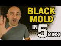 Download Lagu Black Mold - How To Kill Toxic Mold In Under 5 Mins!