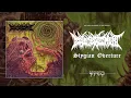 Download Lagu DISEMBODIMENT 'Stygian Overture' (Track Premiere from 'Spiral Crypts')