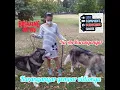 Download Lagu Luluk Darara - Semua berlalu SKA koplo ( Official music Vidio ) _ Pemandangan Karanganyar