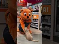 Download Lagu Hundeliebe im OBI Markt! 🦴🐶🧡 #shorts #obi