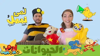 أغاني الحيوانات مع نبيل النحلة 🐝🦁 | آدم ومشمش