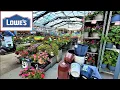 LOWES Inventory May 2023 Lots of Perennials Annuals Shrubs
