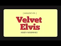 Velvet Elvis - Kacey Musgraves [ Karaoke Ver. ]
