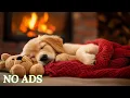 12 HOURS of Deep Sleep Music for Dogs Anti Separation Anxiety Relief Fall Asleep in 3 Minutes
