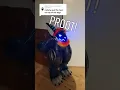 Download Lagu I made a Proot #shorts #short #protogen  #fursuit