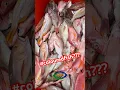 Lagu [4K]HONIARA SOLOMON ISLANDS FISH IS EVERYWHERE, FRESH \u0026 CHEAPEST BY THE ROADSIDE #shortvideo #shorts