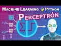 Perceptron Step by Step with Python The Basis of Machine Learning Artificial Neural Networks
