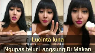 Download Ngupas Telur ala LUCINTA LUNA Langsung di makan Telur ya. MP3